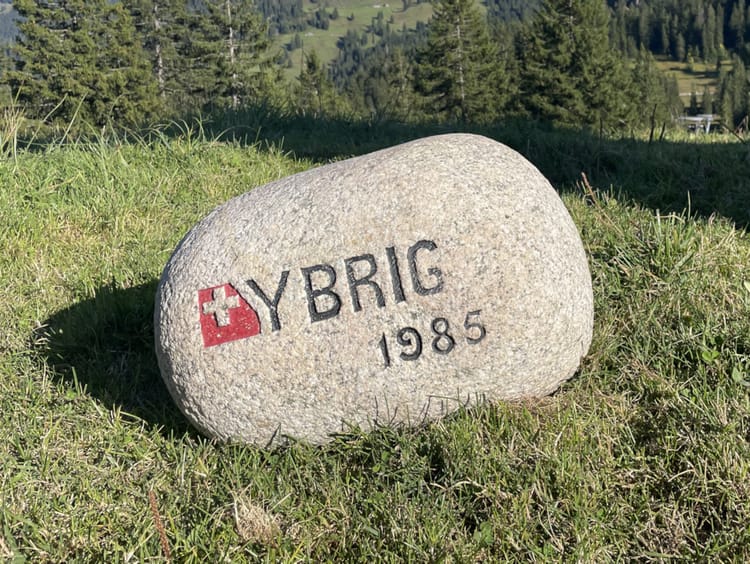 The iconic Inver Stone sitting on grass.